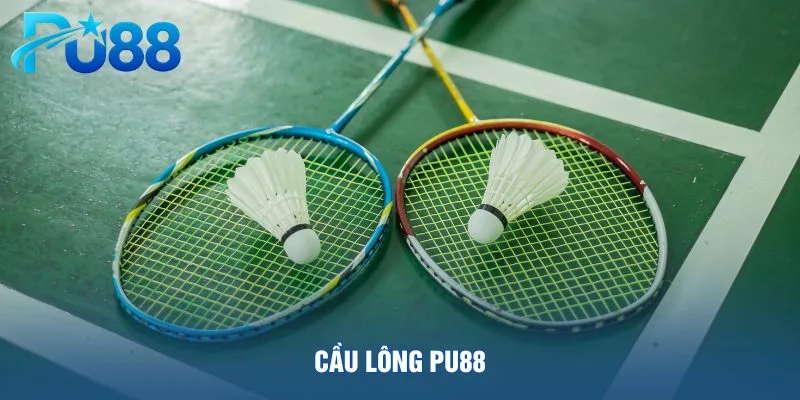 cau-long-pu88